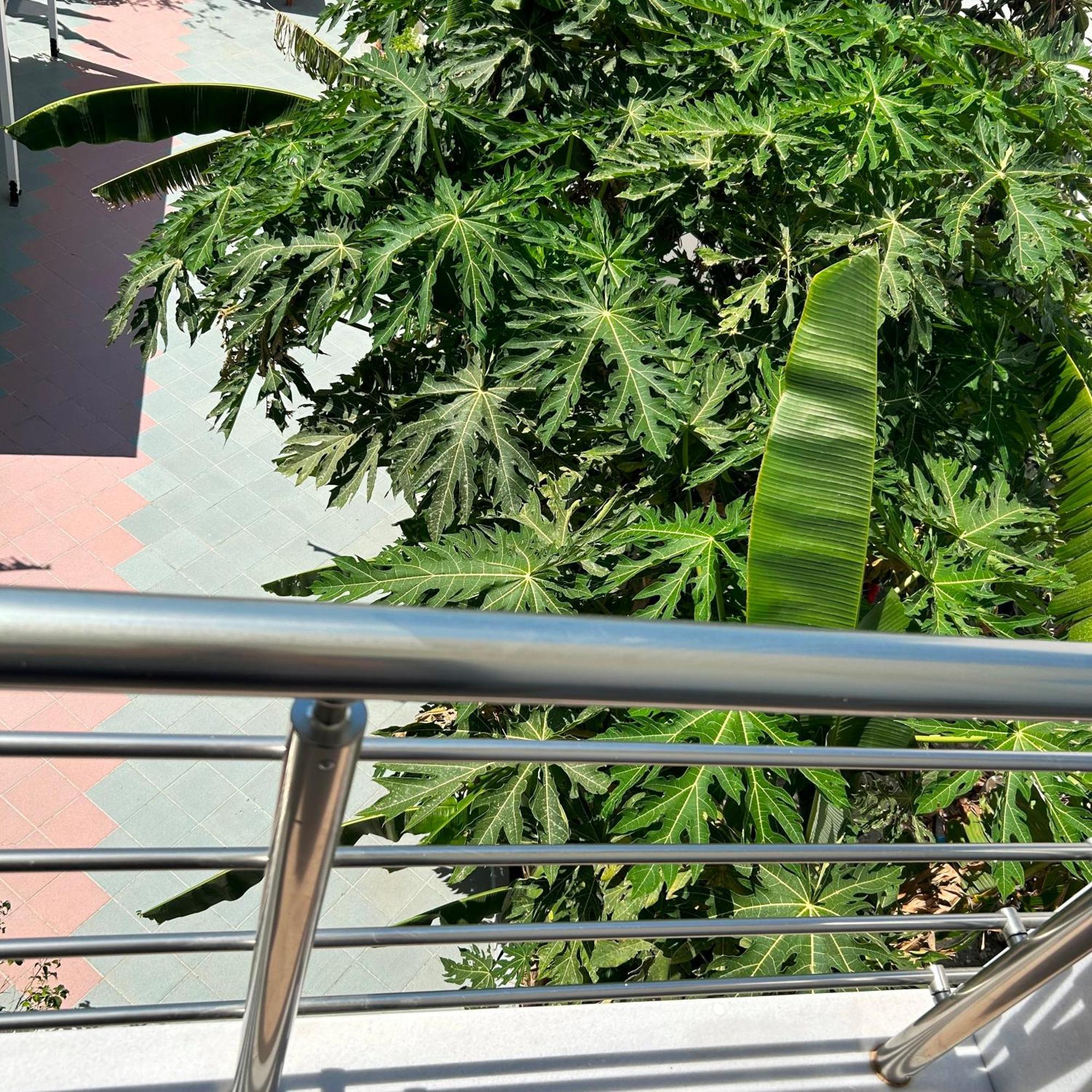 Sea Breeze Hotel Mastichari  Luaran gambar