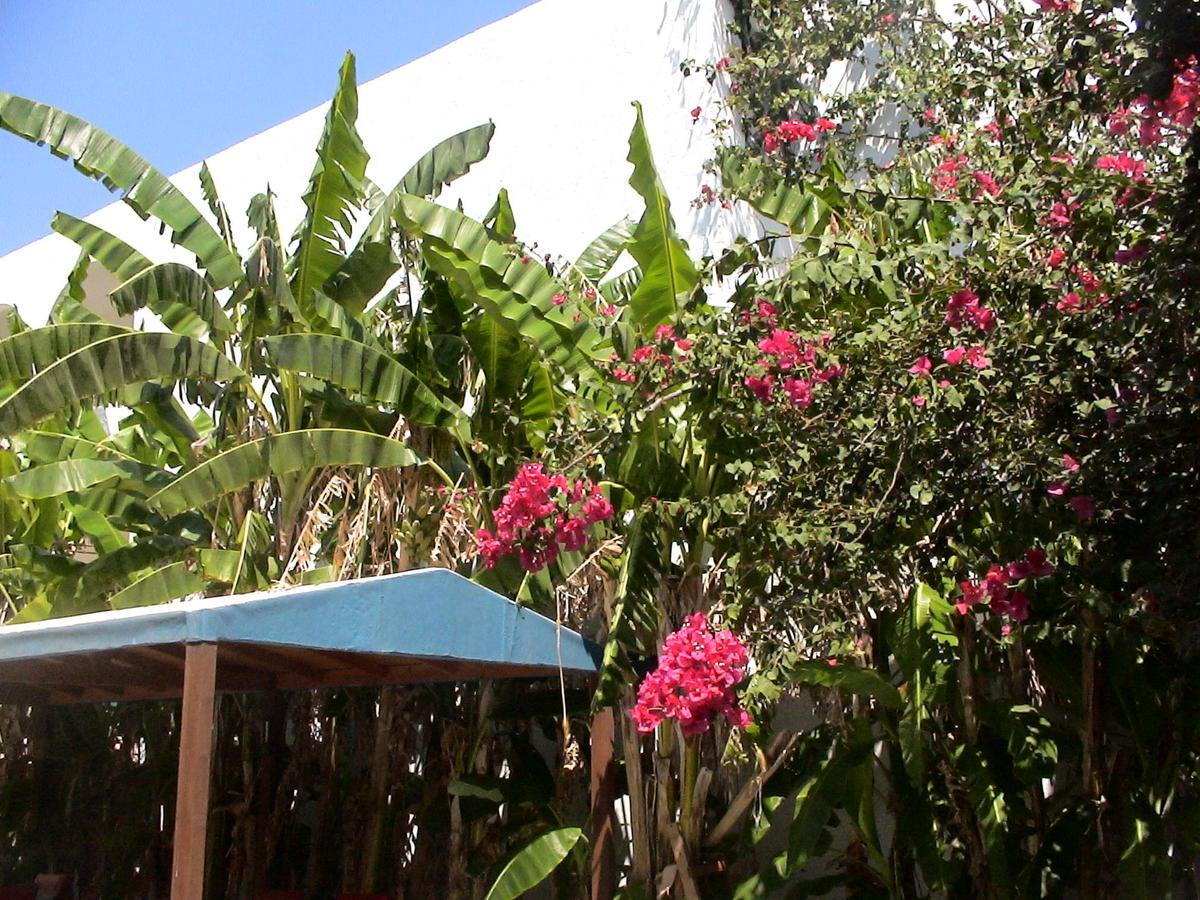 Sea Breeze Hotel Mastichari  Luaran gambar